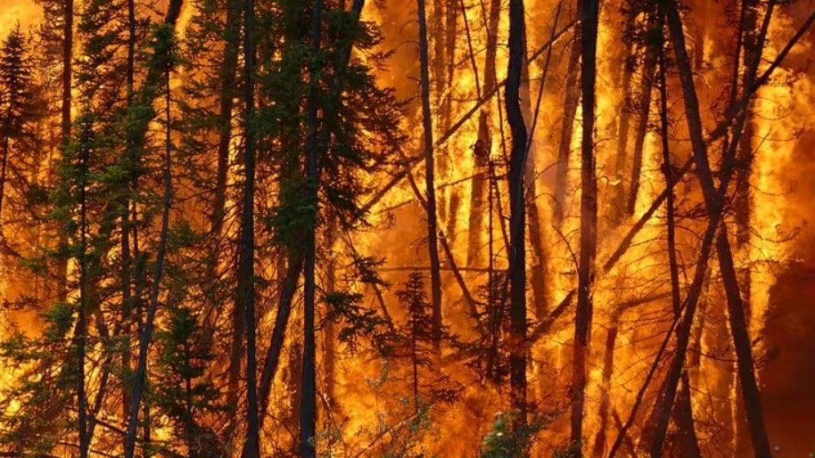 Wildfire risk has grown nearly everywhere, but we can still influence where and how fires strike